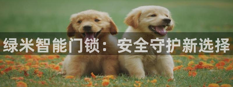 富联娱乐：绿米智能门锁：安全守护新选择