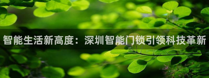 富联娱乐女团排名第几名：智能生活新高度：深圳智能门锁引领科技