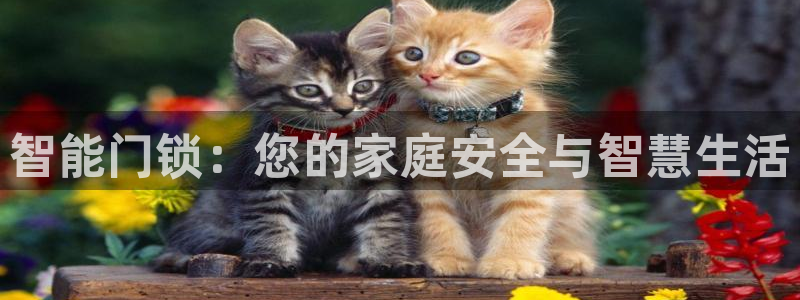 富联娱乐主管月原判官333OO：智能门锁：您的家庭安全与智慧