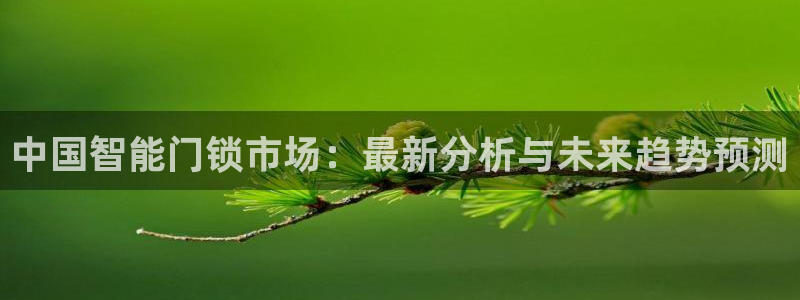 富联娱乐土67五壹叁八：中国智能门锁市场：最新分析与未来趋势