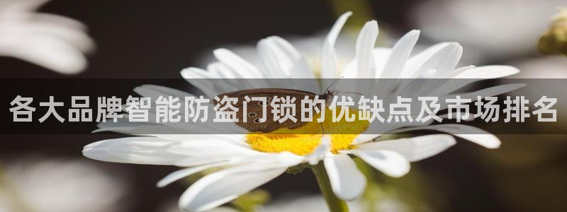 富联娱乐主管那去判官333OO：各大品牌智能防盗门锁的优缺点