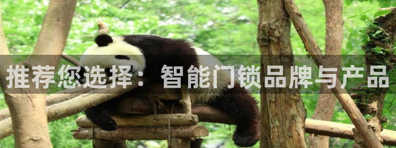 富联娱乐平台怎么样：推荐您选择：智能门锁品牌与产品