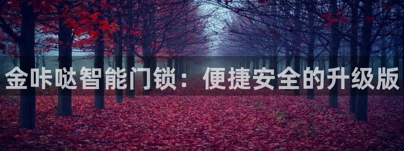 富联娱乐土67五壹叁八：金咔哒智能门锁：便捷安全的升级版