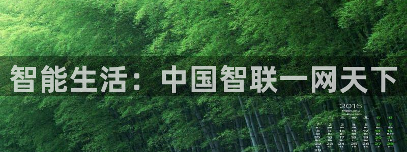 富联娱乐统究7276O：智能生活：中国智联一网天下