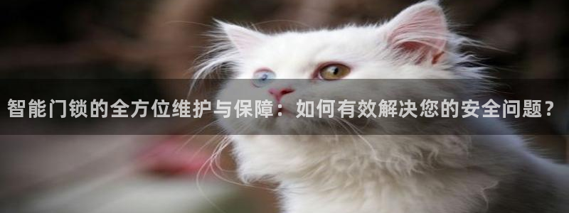 富联娱乐总代理电话号码：智能门锁的全方位维护与保障：如何有效