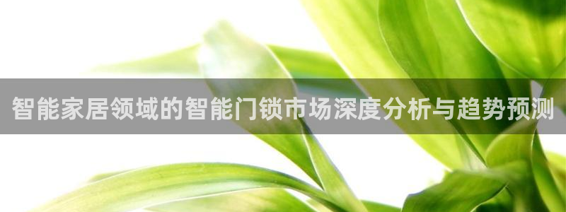 富联娱乐67零零六：智能家居领域的智能门锁市场深度分析与趋势