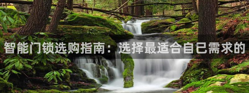 富联娱乐账号注册不了：智能门锁选购指南：选择最适合自己需求的