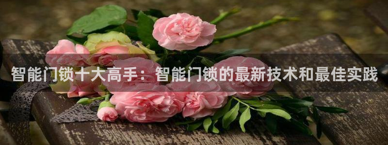 富联娱乐注册正唐老鸭779O3：智能门锁十大高手：智能门锁的