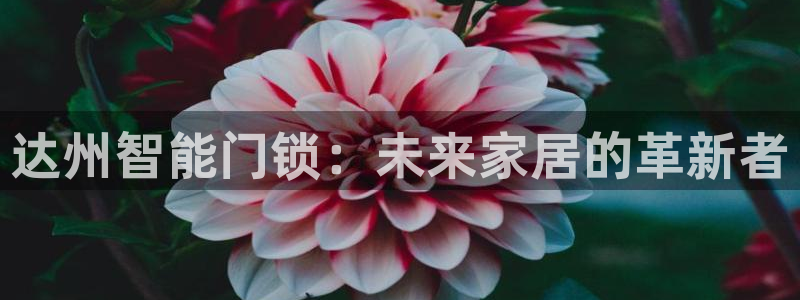 富联娱乐招商主管：达州智能门锁：未来家居的革新者