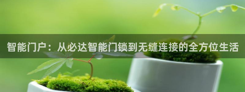 富联娱乐官网首页下载：智能门户：从必达智能门锁到无缝连接的全