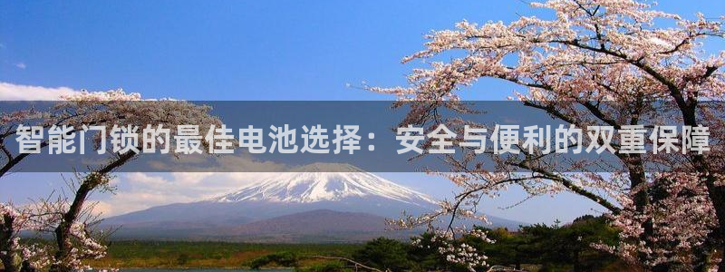 富联娱乐主管效判官333OO：智能门锁的最佳电池选择：安全与