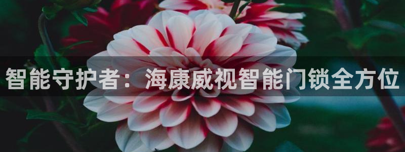 富联娱乐地址查询系统：智能守护者：海康威视智能门锁全方位