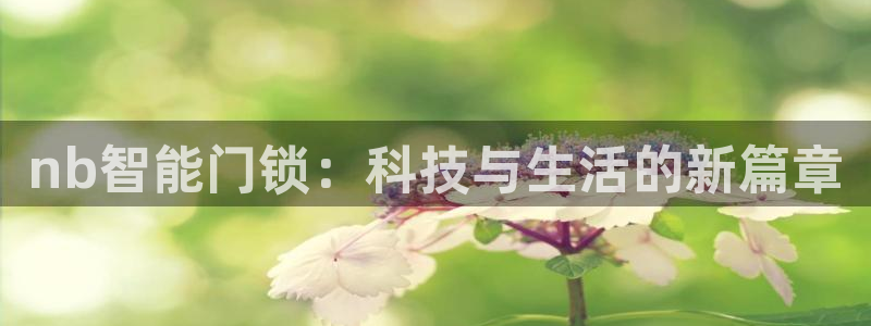 富联娱乐注册天听判官333OO：nb智能门锁：科技与生活的新