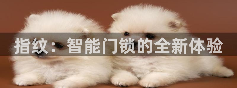 富联娱乐里拔7276O：指纹：智能门锁的全新体验