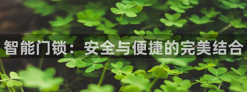 富联娱乐平台特点分析：智能门锁：安全与便捷的完美结合