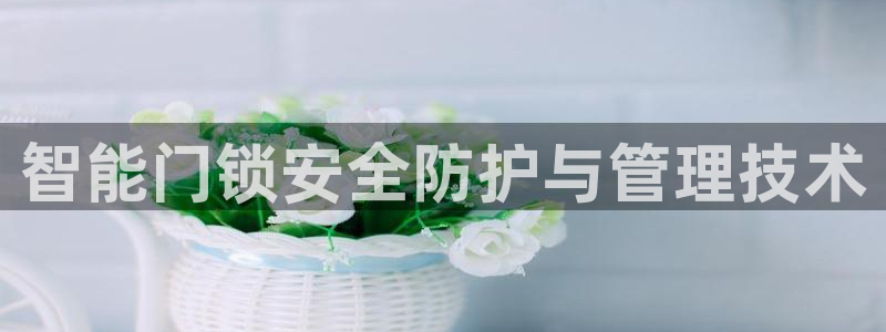 富联娱乐登录地址怎么改：智能门锁安全防护与管理技术