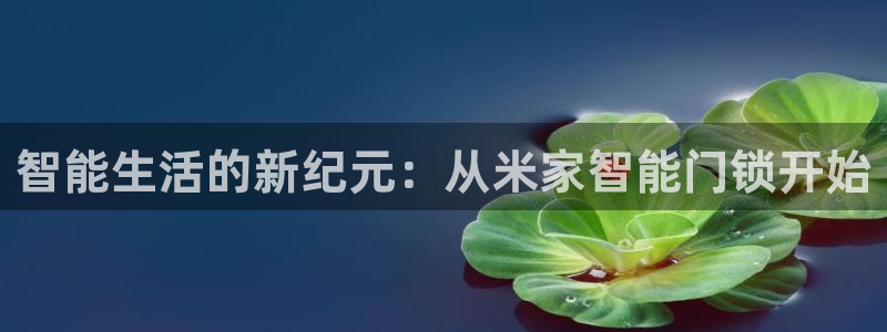 富联娱乐是什么公司电话：智能生活的新纪元：从米家智能门锁开始
