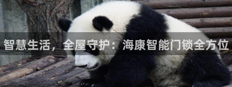 富联娱乐贴吧官网首页：智慧生活，全屋守护：海康智能门锁全方位