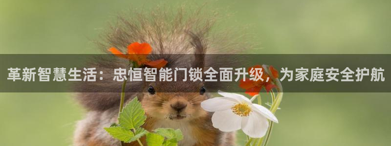 富联娱乐注册直判官333OO：革新智慧生活：忠恒智能门锁全面