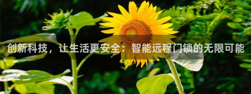 富联娱乐平台怎么样啊：创新科技，让生活更安全：智能远程门锁的
