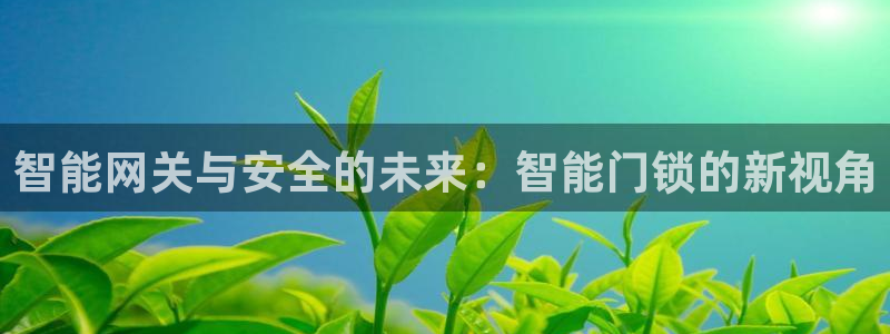 富联娱乐在线网站：智能网关与安全的未来：智能门锁的新视角
