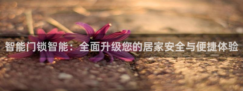 富联2娱乐资讯：智能门锁智能：全面升级您的居家安全与便捷体验
