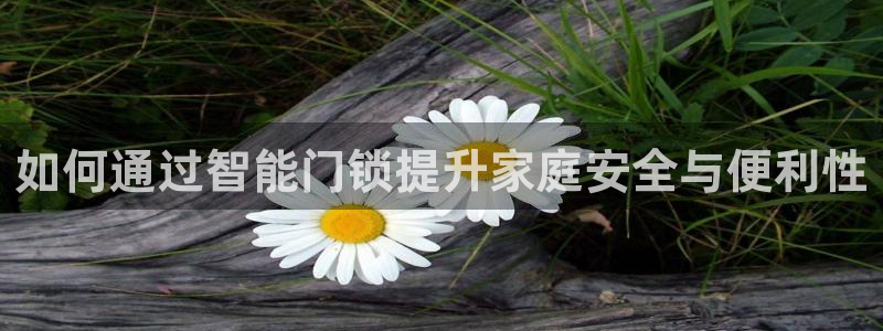 富联娱乐官网注册入口网址：如何通过智能门锁提升家庭安全与便利