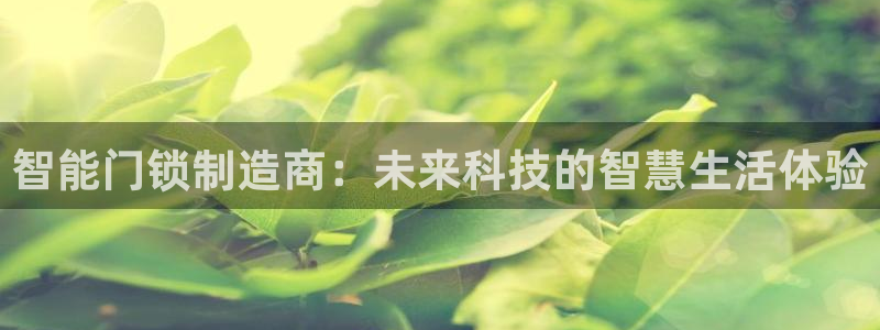 天系列富联娱乐：智能门锁制造商：未来科技的智慧生活体验