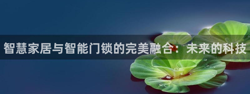 富联娱乐平台登录不了：智慧家居与智能门锁的完美融合：未来的科