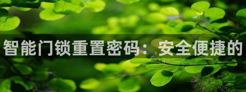 富联娱乐官方网站入口：智能门锁重置密码：安全便捷的