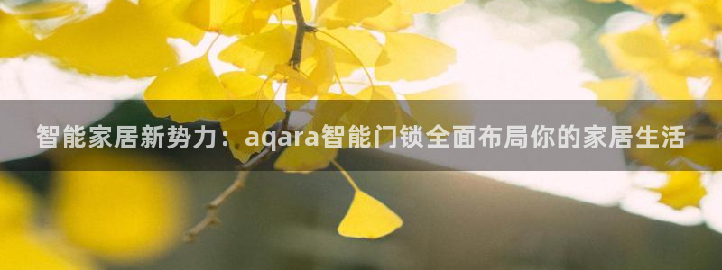 富联娱乐主营业务：智能家居新势力：aqara智能门锁全面布局