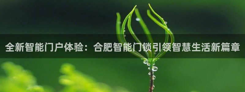 富联娱乐注册毛判官333OO：全新智能门户体验：合肥智能门锁