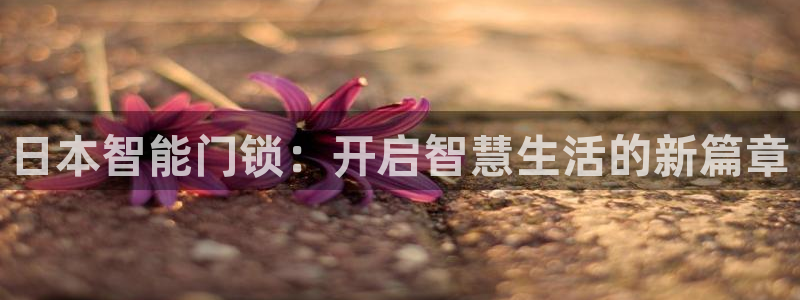 富联娱乐平台下载官网：日本智能门锁：开启智慧生活的新篇章