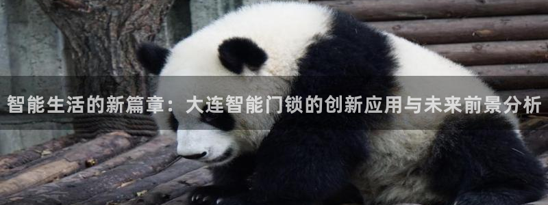 富联娱乐平台几67OO6盘古：智能生活的新篇章：大连智能门锁