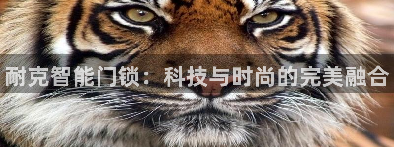 富联娱乐主管续判官333OO：耐克智能门锁：科技与时尚的完美