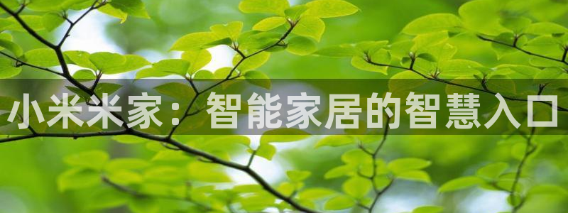 富联娱乐平台官网首页：小米米家：智能家居的智慧入口