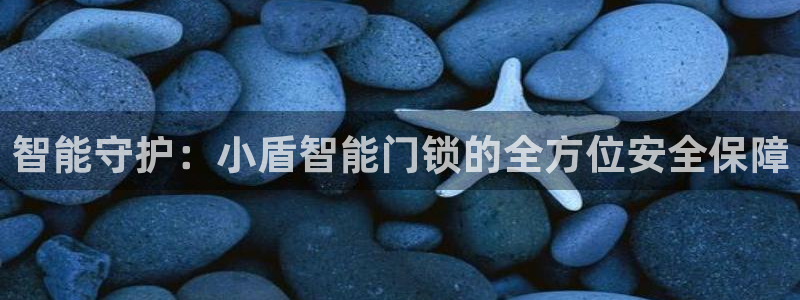 富联娱乐在线观看视频：智能守护：小盾智能门锁的全方位安全保障