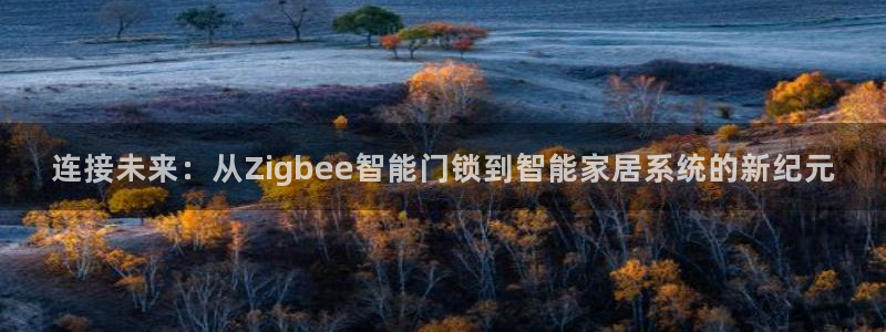 富联娱乐平台客服电话：连接未来：从Zigbee智能门锁到智能