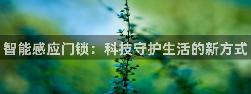 富联娱乐注册直判官333OO：智能感应门锁：科技守护生活的新