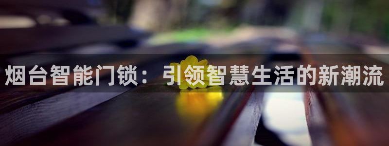 富联娱乐客户端登录：烟台智能门锁：引领智慧生活的新潮流