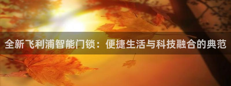 佰富联娱乐团购怎么样：全新飞利浦智能门锁：便捷生活与科技融合