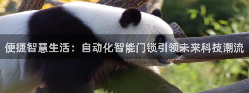 富联娱乐官方网站下载：便捷智慧生活：自动化智能门锁引领未来科