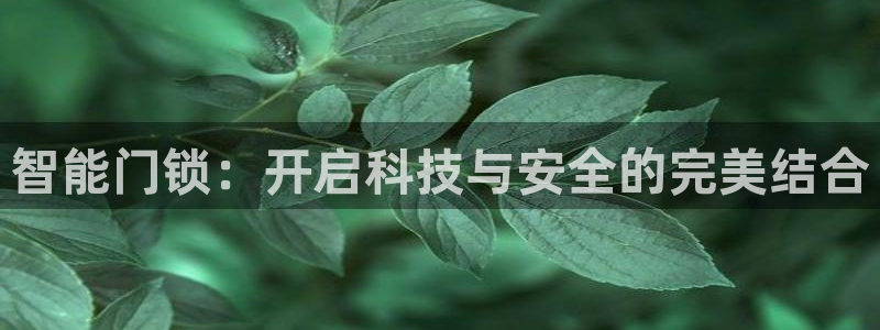 富联娱乐代理怎么样做的：智能门锁：开启科技与安全的完美结合