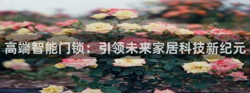 富联娱乐忘记账号怎么办：高端智能门锁：引领未来家居科技新纪元