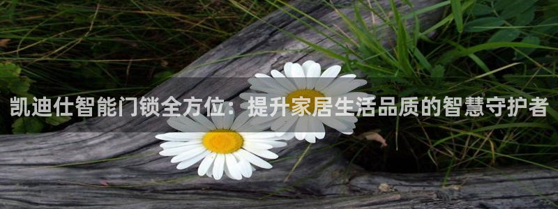富联娱乐2853179Z空间：凯迪仕智能门锁全方位：提升家居