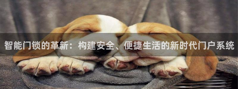 富联娱乐注册登录不了：智能门锁的革新：构建安全、便捷生活的新