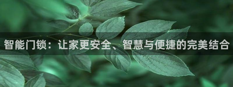 富联娱乐代理是谁：智能门锁：让家更安全、智慧与便捷的完美结合