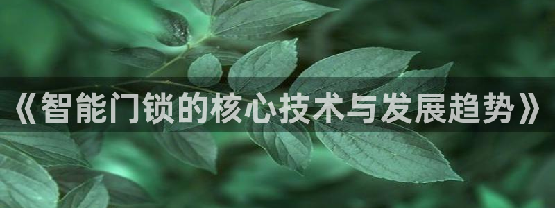 富联娱乐招商主管是谁：《智能门锁的核心技术与发展趋势》