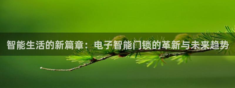 富联娱乐是正规平台吗：智能生活的新篇章：电子智能门锁的革新与