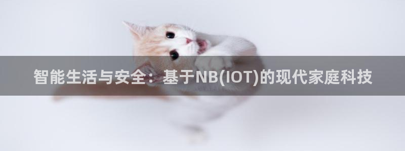 富联2娱乐注册地址查询：智能生活与安全：基于NB(IOT)的